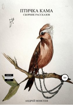 Книга "Птичка Кама. Сборник рассказов" – Андрей Моисеев, 2022