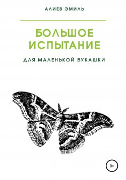 Книга "Большое испытание для маленькой букашки" – Эмиль Алиев, 2022