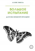 Большое испытание для маленькой букашки (Эмиль Алиев, 2022)