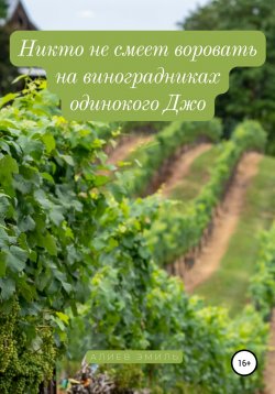 Книга "Никто не смеет воровать на виноградниках одинокого Джо" – Эмиль Алиев, 2019