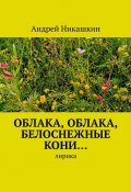 Облака, облака, белоснежные кони… Лирика (Андрей Никашкин)