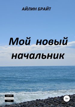 Книга "Мой новый начальник" – Айлин Брайт, 2022