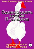 Книга "Одиннадцать врагов IT-сыщика" (Кирилл Кащеев, Волынская Илона, 2013)