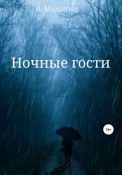 Книга "Ночные гости" – Владислав Малыгин, 2022