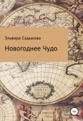 Новогоднее чудо (Эльвира Садыкова, 2022)