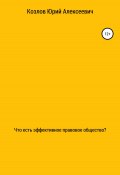 Что есть эффективное правовое общество? (Юрий Козлов, 2022)