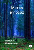 Метла и посох (Наталья Никанорова, 2021)