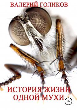 Книга "История жизни одной Мухи" – Валерий Голиков, 2022