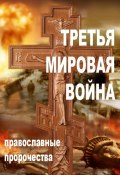 Третья мировая война. Православные пророчества (Александр Смирнов)