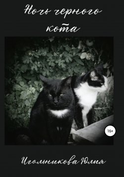 Книга "Ночь черного кота" – Юлия Игольникова, 2022