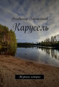 Карусель. Жуткая история (Владимир Баранчиков)