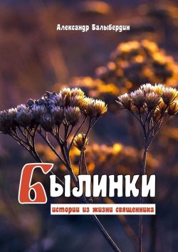 Книга "Былинки. Истории из жизни священника" – Александр Балыбердин