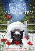 Книга "История одного волшебства" (Сандра Паул, 2021)