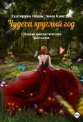 Чудеса круглый год (Анна Камская, Екатерина Новак, 2022)
