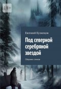 Под северной серебряной звездой. Сборник стихов (Евгений Кузнецов)