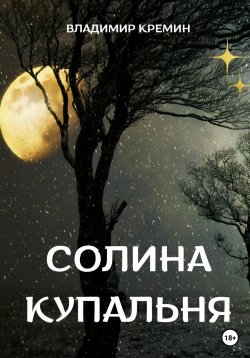 Книга "Солина купальня" – Владимир Кремин, 2022