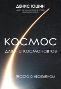 Книга "Космос для не космонавтов" (Денис Юшин, 2023)