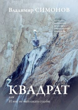 Книга "Квадрат, или И мне не выплакать судьбы" – Владимир Симонов