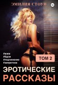 Эротические рассказы 2 (Эмилия Стоун, 2023)