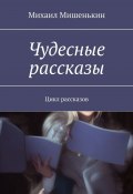 Чудесные рассказы. Цикл рассказов (Михаил Мишенькин)