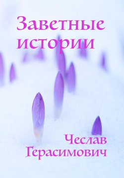 Книга "Заветные истории" – Чеслав Герасимович, Андрей Попондопулос, 2023