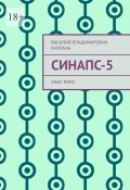 Синапс-5. Ужас Риги (Василий Раппана)