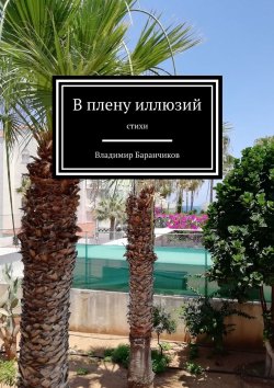 Книга "В плену иллюзий. Стихи" – Владимир Баранчиков