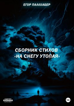 Книга "Сборник стихов «На снегу утопая»" – Егор Паллхабер, 2023
