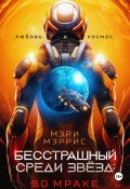 Бесстрашный среди звёзд: во мраке (Мэри Мэррис, 2023)