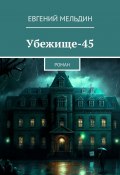 Убежище-45. Роман (Евгений Иванцов, Евгений Мельдин)