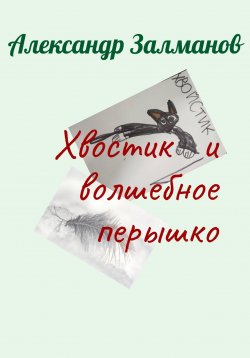 Книга "Хвостик и волшебное перышко" – Александр Залманов, 2023