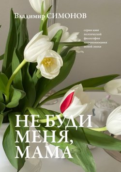 Книга "Не буди меня, мама. Серия книг поэтической философии миропонимания новой эпохи" – Владимир Симонов