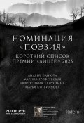 Номинация «Поэзия». Короткий список премии «Лицей» 2023 (Евфросиния Капустина, Марина Ерофеевская, Марья Куприянова, Андрей Панюта)