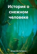 История о снежном человеке (Катерина Богданова, 2023)