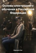 Основы электронного обучения в Российской Федерации (Мерецков Олег, 2023)