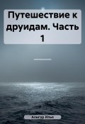 Путешествие к друидам. Часть 1 (Илья Алигор, 2023)