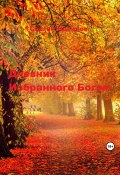 Дневник Избранного Богом (Сергей Новиков, 2023)