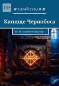 Капище Чернобога. По ту сторону реальности (Николай Субботин)