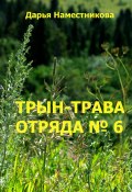 Трын-трава отряда № 6 (Дарья Наместникова, 2023)