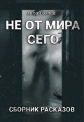 Не от мира сего (Антон Орлов, 2023)