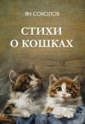 Стихи о кошках (Ян Соколов)