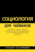 Социология для чайников (Ильнар Салимшин)