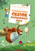 Большая книга сказок волшебного леса / Сказочные истории (Валько, 2010)