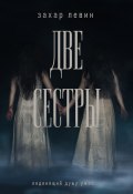 Книга "Две сестры" (Захар Левин, 2023)