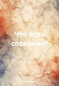 Что есть сознание? (Лев Овчинников, 2023)