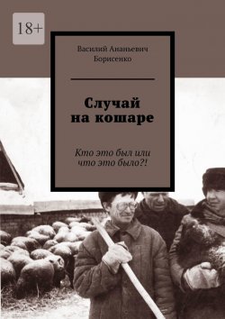 Книга "Случай на кошаре. Кто это был или что это было?!" – Василий Борисенко