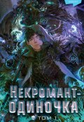 Некромант-одиночка. Том 1 / Новелла (JJJ, 2019)