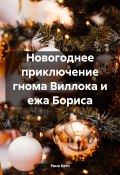 Новогоднее приключение гнома Виллока и ежа Бориса (Рене Кетч, Рене Чамбер, 2023)