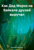 Как Дед Мороз на Байкале друзей выручал (Анатолий Градницын, 2023)