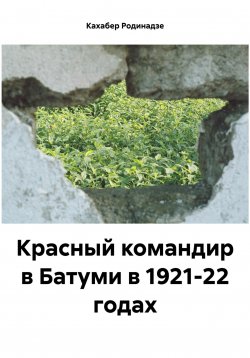 Книга "Красный командир в Батуми в 1921-22 годах" – Кахабер Родинадзе, 2023